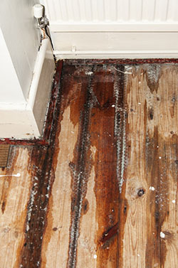 leaking radiator